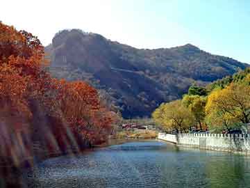 天天彩好彩天天免费，野花香社区